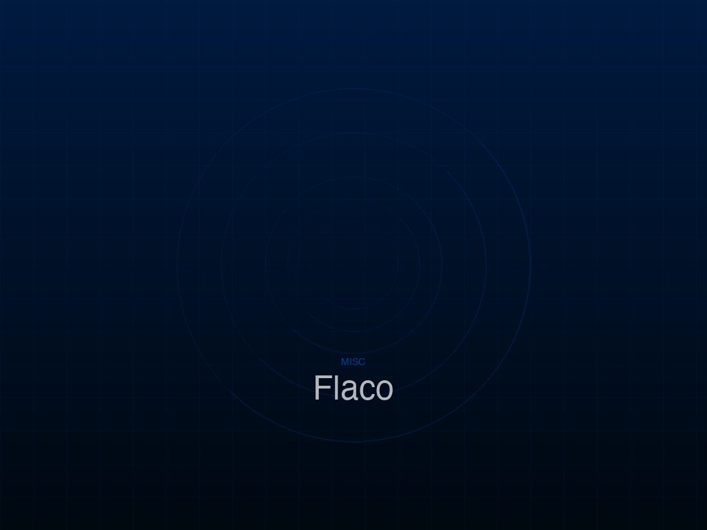 Miguel Flaco